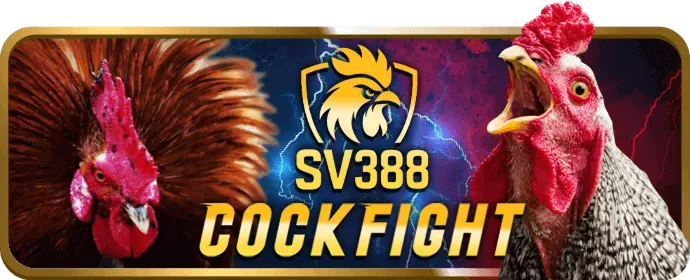 Chương trình VIP wynn08 chính thức